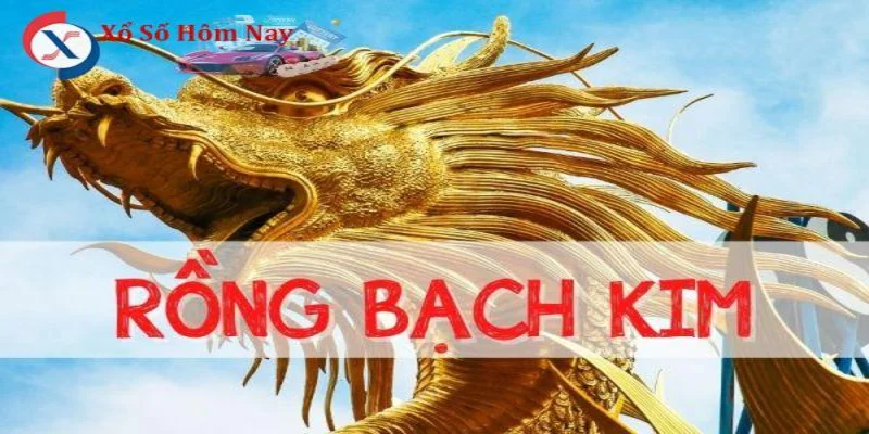Giới thiệu về phương pháp soi cầu Rồng Bạch Kim