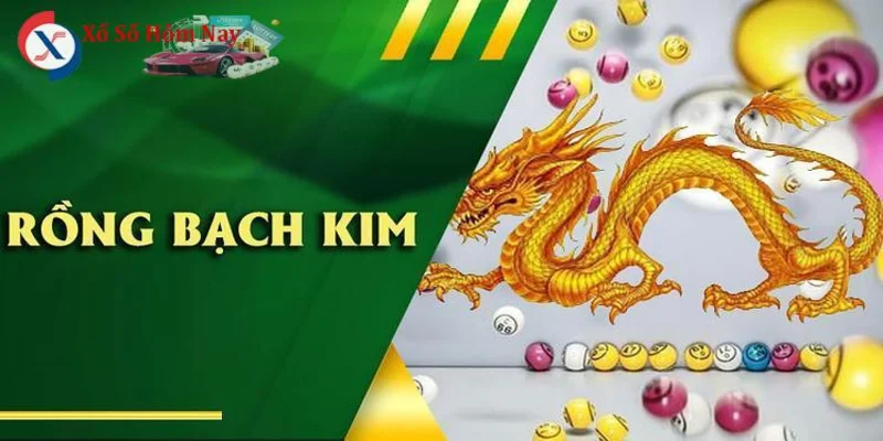 Bí quyết soi cầu Rồng Bạch Kim hiệu quả