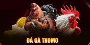 Đá gà cựa sắt Thomo CF68